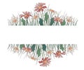 Vector illustration of borders with daisy flowers and leaves, grass.