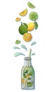 Vector illustration of bottle of fresh lemonade, glass of juice, lime, lemon.