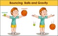 vector illustration of a Bouncing Balls and Gravity