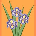 Vector illustration of bouquet of iris flowers. Royalty Free Stock Photo