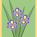 Vector illustration of bouquet of iris flowers. Royalty Free Stock Photo