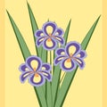 Vector illustration of bouquet of iris flowers. Royalty Free Stock Photo