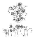 Vector illustration of bouquet made from wildflowers. Sketch.