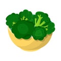 Vector illustration of bowl and broccoli icon. Collection of bowl and green stock symbol for web.