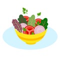 Vector illustration of bowl with colorful vegetable salad with tomatoes onions leafy collard greens parsley Royalty Free Stock Photo