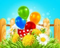 box with balloons in the grass with daisies and dandelions