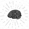 Vector illustration of brain with rays. These are iconic representations of creativity, ideas, education and learning. Royalty Free Stock Photo