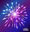 Vector illustration of bright fireworks.