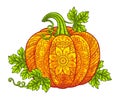 Vector illustration. Bright Halloween pumpkins in mandala style with detailed patterns