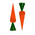 Vector illustration of bright juicy carrot. autumn harvest on a farm
