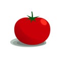 bright juicy red tomato on a white background. autumn harvesting