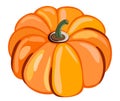 Vector isolated illustration of bright orange pumpkin. Royalty Free Stock Photo
