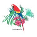 Vector illustration of a bright tropical bird parrot on a floral background. Colorful icon of tropical nature. Royalty Free Stock Photo