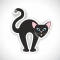 Vector illustration of bristly black cat