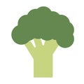 Vector illustration. Broccoli color icon in the flat style