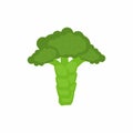 Vector illustration of broccoli icon in flat style. Fresh green vegetable isolated image on white background. Colored healthy Royalty Free Stock Photo