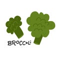 Vector illustration of broccoli icon in flat style with lettering title, isolated on white background. Royalty Free Stock Photo