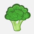 Vector illustration of broccoli on a white background. Dietary food. Royalty Free Stock Photo