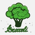 Vector illustration of broccoli on a white background with lettering inscription Royalty Free Stock Photo