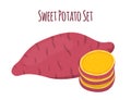 Vector illustration of brown batat, sweet potato and slices. Organic healthy vegetable