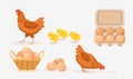 Vector illustration of brown hens, chicks, eggs in tray and basket on white background. Poultry farm with natural products in