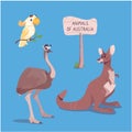 Vector illustration of a brown marsupial kangaroo, emu ostrich and cockatoo, isolated on blue background. Cute