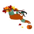 Vector illustration brown sloth in a Halloween costume with pumpkin