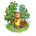 Vector illustration of bruin bear with pine cones