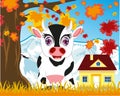 Home animal cow by autumn on nature.