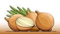 Vector illustration of bulb onions on a line.