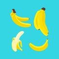 Vector illustration of a bunch of bananas, half-peeled banana on a blue background in a flat style. Royalty Free Stock Photo