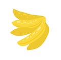 Vector illustration of a bunch of bananas isolated from background. Flat hand drawn clipart juicy tropical fruit