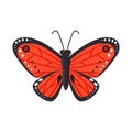 Vector illustration of butterfly and red symbol. Set of butterfly and species stock symbol for web.