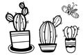 Vector illustration of cactus and butterfly indoor flowerpots. outline, Hand drawn contour cactus set. Elements of Royalty Free Stock Photo