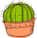 Vector illustration Cactus flower,
