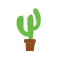 Vector illustration of cactus in foral pot. Houseplant on white background