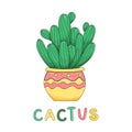 Vector illustration of a cactus in a pot and hand lettering