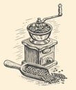 Retro manual coffee grinder with roasted coffee beans, vintage sketch. Vector illustration for cafe or restaurant menu