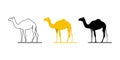 Vector illustration camel style silhouette black flat white background v