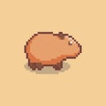Pixel art capybara game asset design