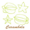 Vector illustration of carambola. Exotic fruit painted in Indian ink. Botanical food illustration.