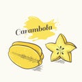 Vector illustration of carambola