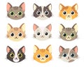 Cute cats collection. Cats faces. Vector illustration Royalty Free Stock Photo