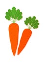 Vector illustration of carrot fresh vegetable. Delicious healthy food