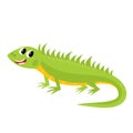 Vector illustration of cartoon while animal - iguana isolated on white Royalty Free Stock Photo