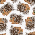 Wildlife porcupine decorative pattern on white background