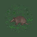 Vector illustration, a cartoon armadillo, on a green background with flowers, leaves and spots.