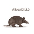 A cartoon armadillo, isolated on a white background. Animal alphabet.