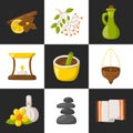 Vector cartoon ayurveda icons