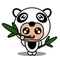 Bamboo leaf panda animal mascot costume